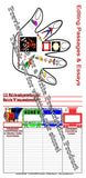 2025-2026 ELAR & Writing Folders, Graphic Organizers, & Binders